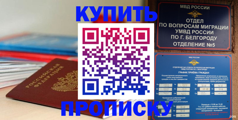 прописка для работы в Тайшете